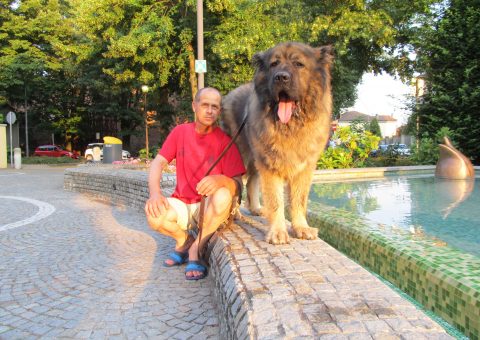 Titan Caucasian Shepherd Champion with his owner